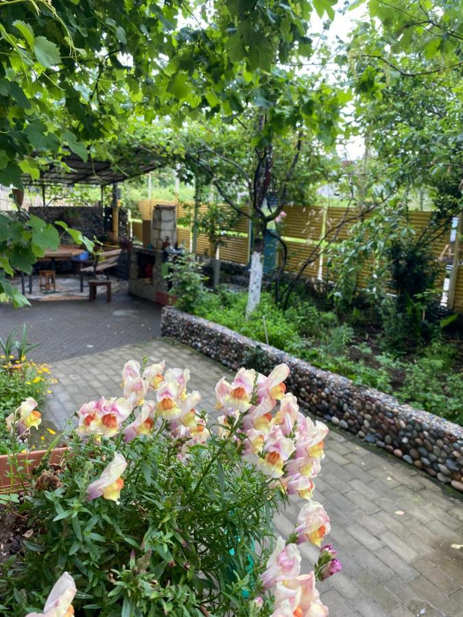 Guest House Mari Ureki Dış mekan fotoğraf