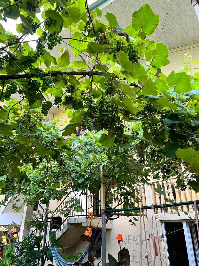 Guest House Mari Ureki Dış mekan fotoğraf