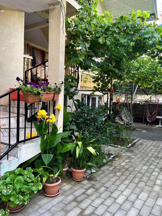 Guest House Mari Ureki Dış mekan fotoğraf